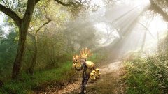 Final Fantasy Chocobo Photo