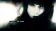 Final Fantasy VII: Advent