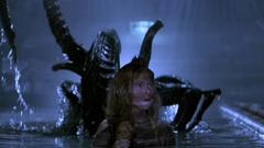 Find 2010 This HMS vlcsnap