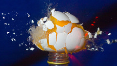 Fine contribootin high