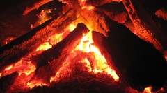 Fire dark burning camp fire