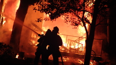 Fire firefighter forest nature