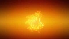 Fire flame Pokemon rapidash
