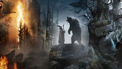 Fire Movies Bears Wolves rocks forests Gandalf Wizards The 