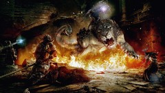 Fire Tigers flames dragons dogma video games