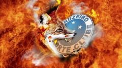 Fire zero Cruzeiro