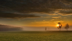 First daylight Gross nature