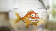 Fish American Dad! fish