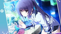 Fish aquarium long hair ponytails purple hair Lovely Cation