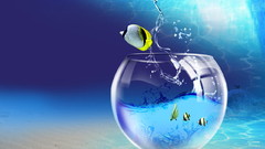 Fish bowls Aquarium and