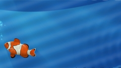 Fish Finding Nemo clownfish