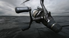 Fish fishing gear