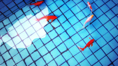 Fish koi swimming pools