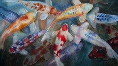 Fish koi watercolor