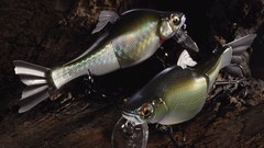 Fish lure fishing gear