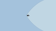 Fish minimalistic artwork shockwave