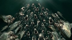 Fish Piranha posters artwork