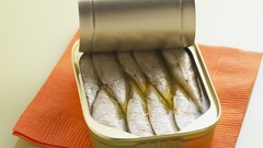 Fish sardines Aquarium and