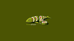 Fish sushi
