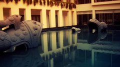 Fish tank swimming pools