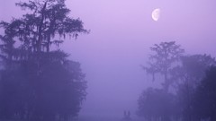 Fishing hole secret louisiana