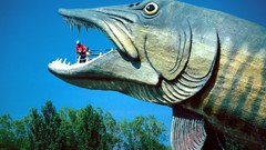 Fishing Wisconsin Fame mouth hall