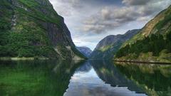 Fjord anyone have any