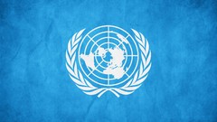 Flags grunge United Nations FN un