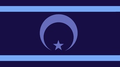 Flags my little pony Nightmare Moon