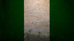 Flags nigeria