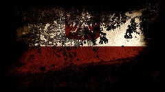 Flags Polish Poland coat