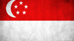 Flags Singapore