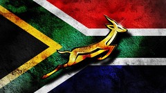 Flags South Africa rugby