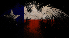 Flags Texas