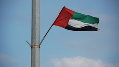 Flags united Arab Emirates