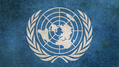 Flags United Nations