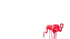 Flamingos Simple Background