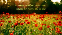 Flander fields blocked off