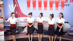 Flight lots Korean SAS attendants