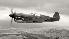 Flight War vintage monochrome Curtiss P-40