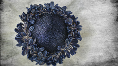 Flood filter killing me