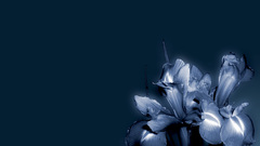 Flower abstract blue