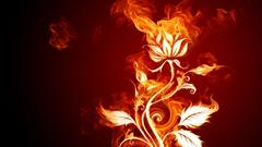 Flower fire for guys! looking some really hey