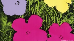 Flowers Andy Warhol Incase