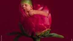 Flowers babies Anne Geddes