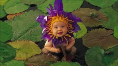 Flowers babies Anne Geddes