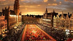 Flowers Belgium flower