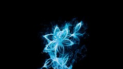 Flowers blue glow fire flower