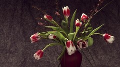 Flowers bouquet tulips vase