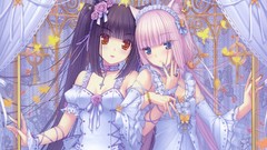 Flowers Butterflies roses cross dress Jewelry white hair 